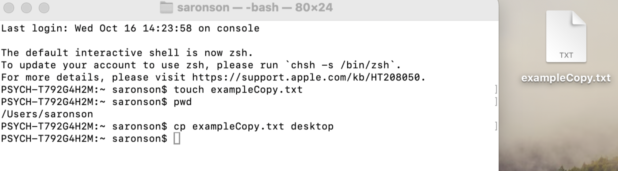Saronson first created a text file called exampleCopy, then she determined where that file was being stored on her computer by employing the pwd command. She copied the exampleCopy file to her desktop.