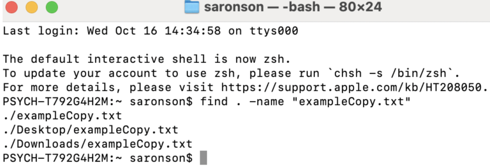 Since the exampleCopy.txt file is in both saronson’s downloads folder and desktop, both file paths are outputted
