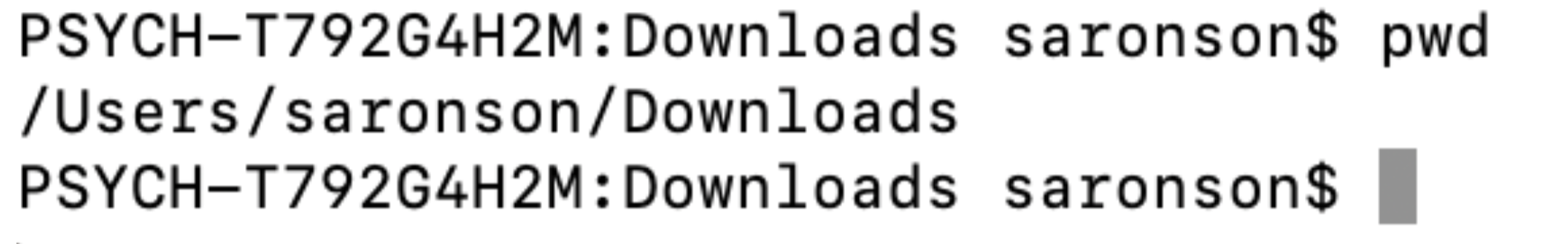 After typing pwd into the terminal, the directory that you are currently in appears on the next line. In this case, user saronson is in Downloads.