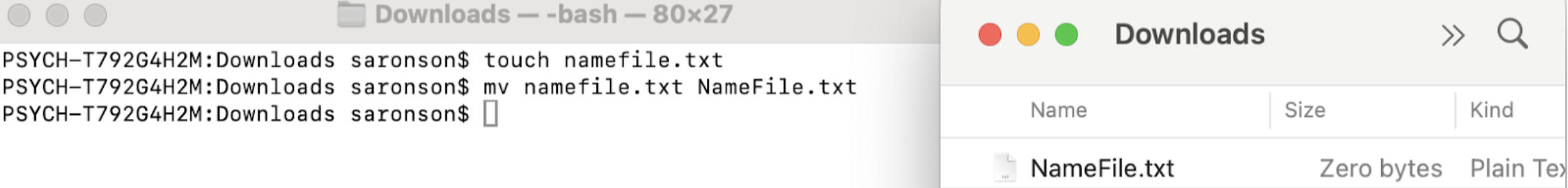 Saronson created a text file called namefile in her downloads folder. Using the mv command she then renamed the file to NameFile and the updated name appeared in her downloads folder