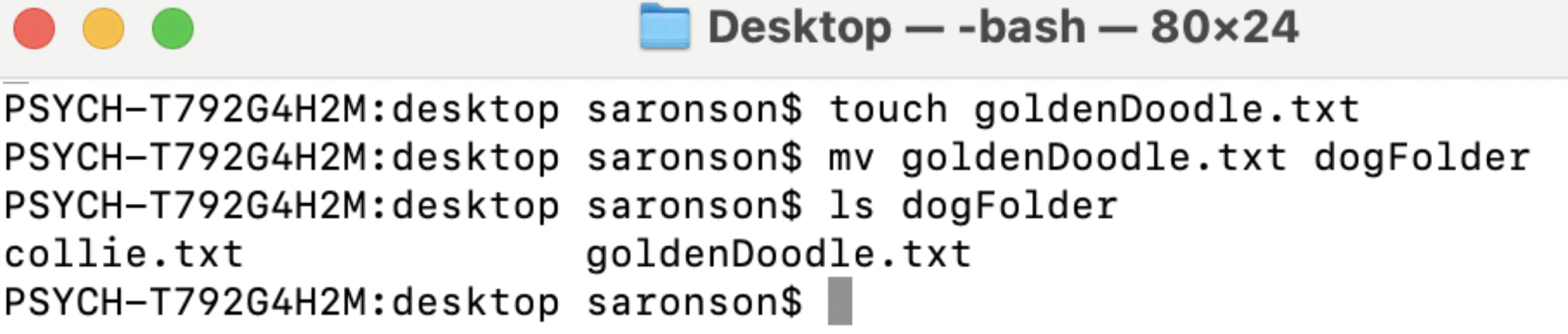 In this example, user saronson created an empty text file on her desktop named goldenDoodle.txt. She then moved goldenDoodle.txt into a pre-existing folder called dogFolder, which already contained another empty text file named collie.txt. To display the contents of dogFolder, she used the ls command.