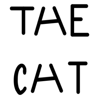 This image can be approached in two different ways. For bottom-up processing, we can see the letters first and then figure out the words. For top-down processing, we can see the words and decide what each letter is.