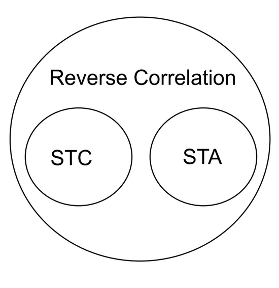 Reverse correlation encompasses both spike triggered averages and spike triggered covariance.