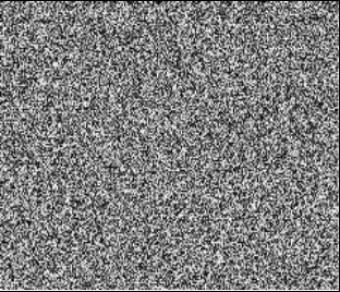 Example of a white noise stimulus using gray scale.
